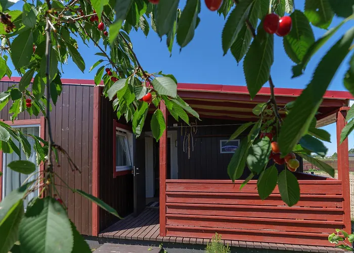 Pylimo Slenis בית נופש